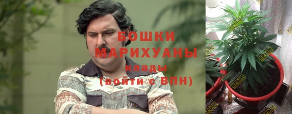 spice Осташков