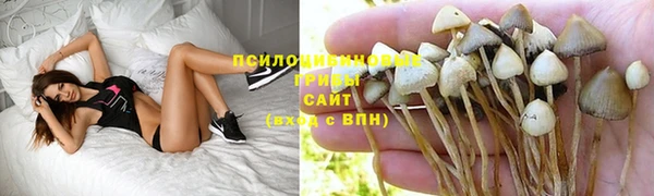 mix Пестово