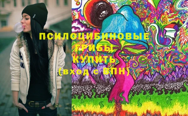 прущая мука Пересвет